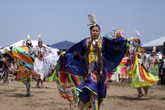 Shawl Dancers